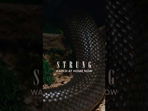 video-thumbnail