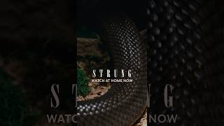 Watch at Home