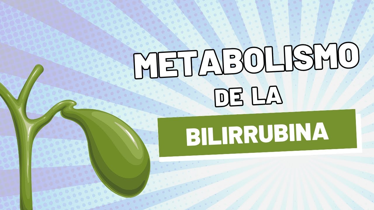 Metabolismo de la BILIRRUBINA explicado CLARAMENTE