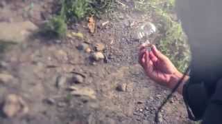 Elephant Stone - Living For Something | Official Video