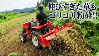日本が雨季に入ったのでエリア整備の動画しかうｐできない【烏山エリア】