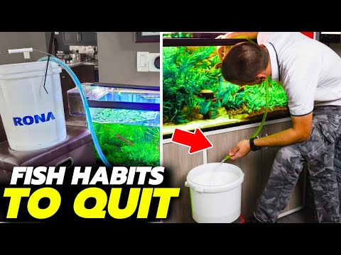 10 Fishkeeping Habits YOU should STOP