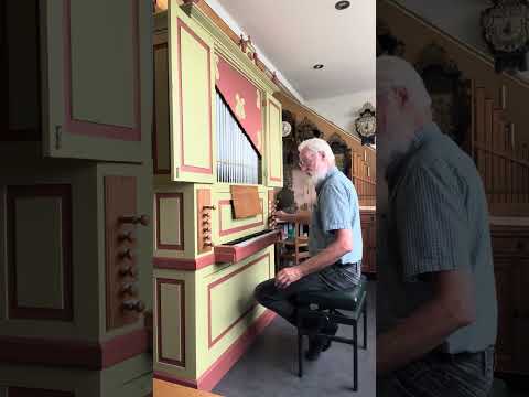 Demonstratie huispijporgel Ronald de Jong