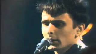 MUSE - Muscle Museum, Nulle Part Ailleurs, 1/5/2000
