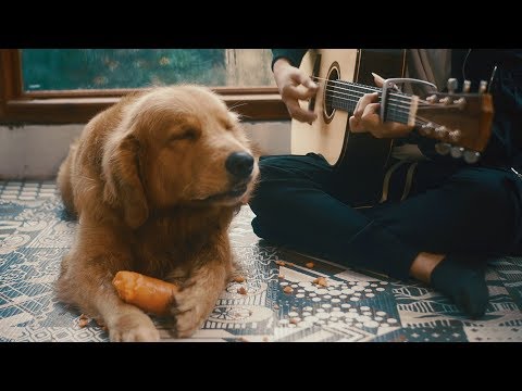 Thuận Theo Ý Trời | Bùi Anh Tuấn | Bun & Orin Cover