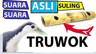 Download lagu Paddy birds #Paddy birds #Paddyfieldbirdssound #Paddyfieldbirds #soundbirds mp3 Download lagu Paddy birds #Paddy birds #Paddyfieldbirdssound #Paddyfieldbirds #soundbirds mp3