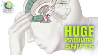 Psychiatry’s playbook is about to get torn up