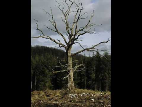 The people are scratching, as performed by Pete Seeger