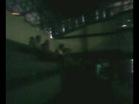 amistoso corguinho rnegro