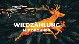 Drohne besser als das Flugzeuge für die Wildzählung? - Vortrag Tag des Rotwilds
