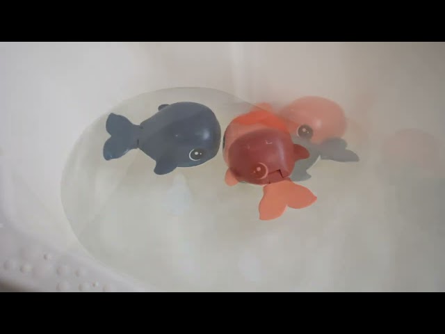 Игрушка Lanson Toys Кит заводная в ассортименте - видео