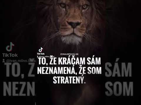 romane gial Fery tu san shey