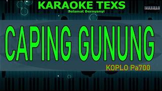 Download lagu Karaoke Dangdut Koplo HD Campur Sari Caping Gunung Korg Pa 700 mp3