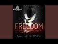 Freedom (StoneBridge Remix)