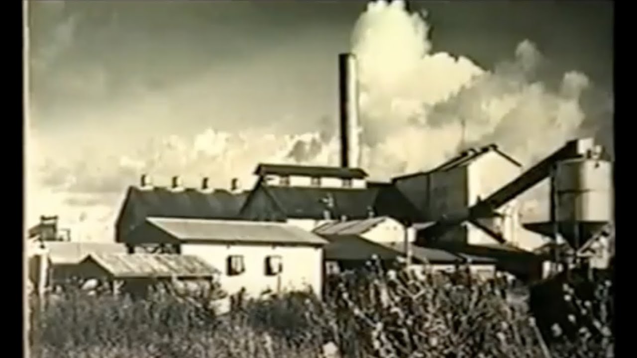 Kahuku: Survival of a Plantation Town