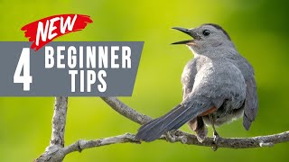 Bird Photography Secrets Most Pros Won't Tell You