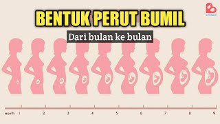 Download lagu Changes in the Shape of a Pregnant Woman's Belly Each Month of Pregnancy mp3