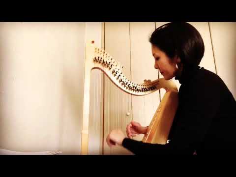 Spagnoletta / Harp by Ailing Sai