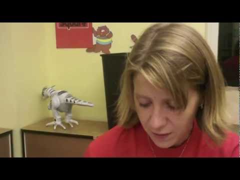 Yulia Sandamirskaya describes active paradigm for audio/visual learning