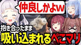 【マシぺこ】可愛い動物で殴り合うパーティアニマルズが面白すぎたw【紫咲シオン/戌神ころね/兎田ぺこら/宝鐘マリン/ホロライブ切り抜き/PartyAnimals/塩田マリ子】