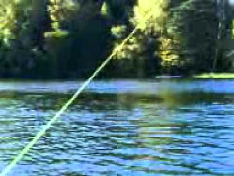 toutaimen väsytystä kulovedellä pt 2