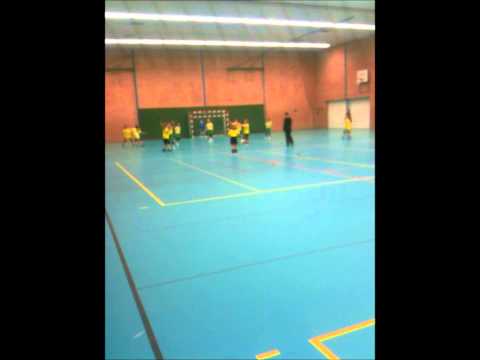 DSC Handbal 12-1-2013 DSC D1 - Overwetering D1