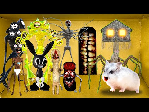 🐹 😱 ALL MONSTERS Trevor Henderson Cartoon - Hamster  Maze with Traps | Tom Hamster Animation #9