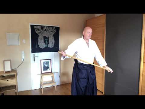 Virtual Dojo Aiki-Jo Practice 07.11.20