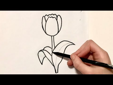 КАК НАРИСОВАТЬ ТЮЛЬПАН | Как НАРИСОВАТЬ ЦВЕТОК Уроки  рисования Простые домашние рисунки карандашом