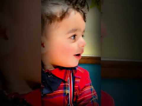 Happy birthday #shorts #cakecut #celebration