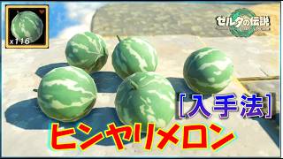 【ゼルダの伝説ティアキン】「ヒンヤリメロン」の大量入手法！ヴァーイミーツヴォーイ/ハートミルクスープの作り方