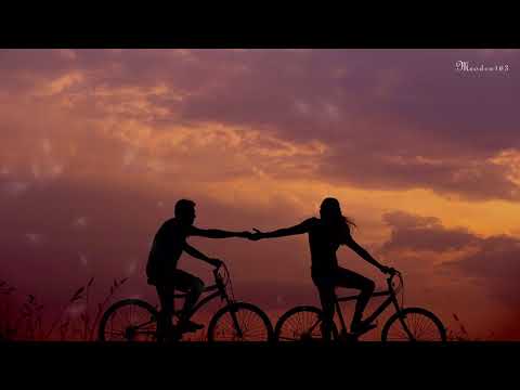 Chỉ có bạn bè thôi Sheet - Trường Vũ