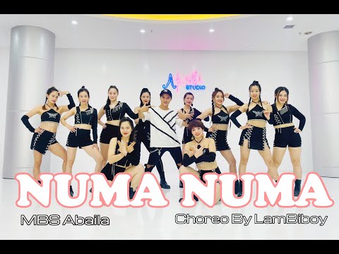 Dan Balan - Numa Numa 2 (feat. Marley Waters) I Choreo By LamBiboy I Zumba I Abaila Dance Fitness