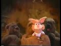Billy Bunny S Animal Songs Vhs Promos 1993