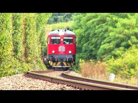 FOX RAIL Freight Train-Biharia-03.09.2020