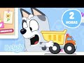 AO VIVO Bluey Episódios Completos Maravilhosos E Pequenas Histórias Bluey