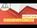 Коннелюрный плинтус для образовательных учреждений - fotosurat 1