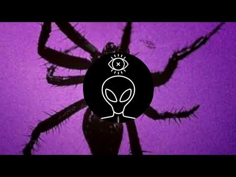 OliverTwisted - Never Come Back (Original Mix)