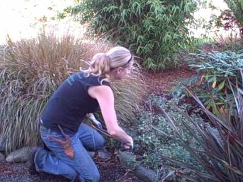 Fiskars Powergear Hedging Shear.wmv