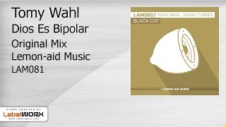 Tomy Wahl - Dios Es Bipolar (Original Mix)