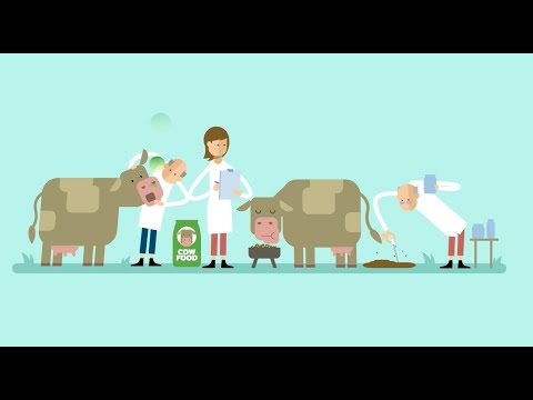 What is methane? And what part does livestock farming play?