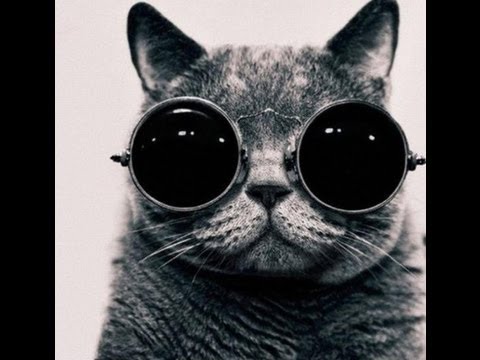 Aycash - Resa genom tiden