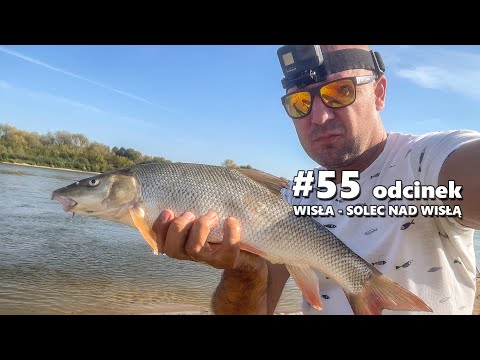 Brzana królowa nurtu i wiślane smoki | 55. odcinek – Solec nad Wisłą
