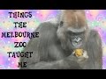 Melbourne Zoo Adventure Time!
