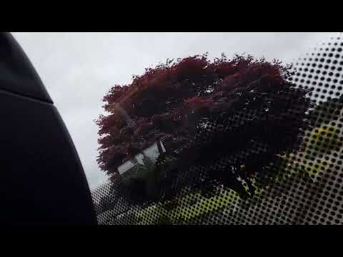 First Scotland East Scania L94UB  65748 SN55 JVO