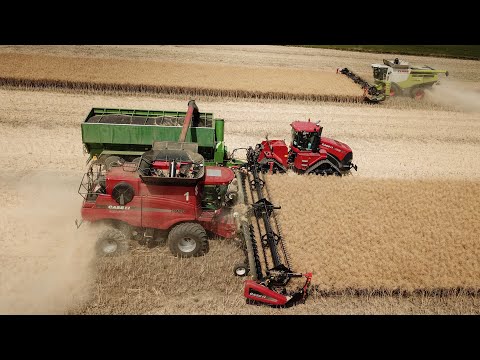Harvest 2018 - 3x MacDon, Case IH Quadtrac 450, Axial Flow 9120, 9230, Lexion 770, Bergmann GTW 430