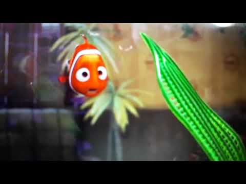 Finding Nemo Part 8
