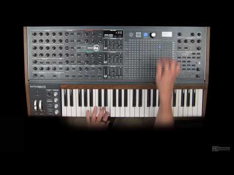 MatrixBrute 201: Advanced Synthesis - 3. Complex Envelopes