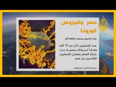 انتشار الفيروس في مصر