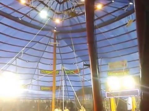 Watch Olympic Circus Show Live - Full Olympic Indian Circus Online